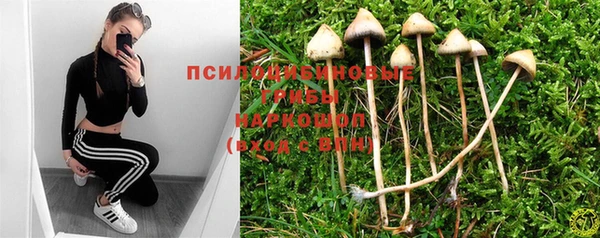 метамфетамин Ельня