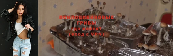 твердый Заволжск