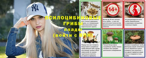 амфетамин Елизово