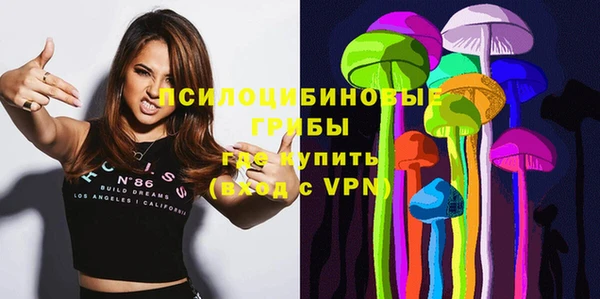 метамфетамин Ельня